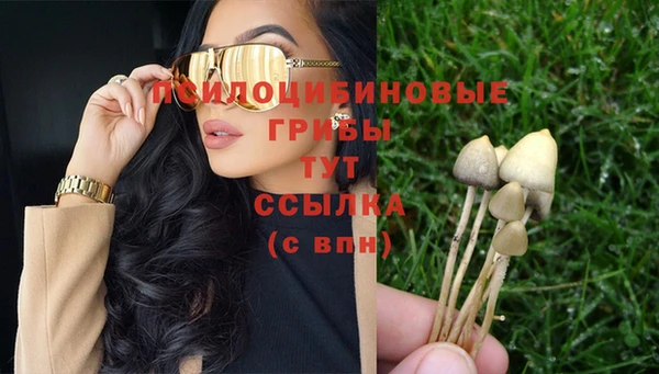 mix Аркадак