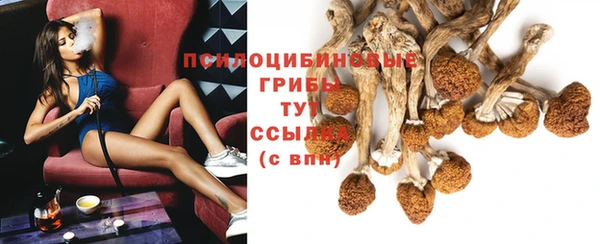 хмурый Армянск