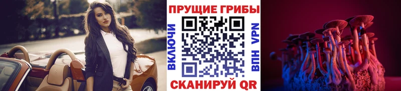 Галлюциногенные грибы MAGIC MUSHROOMS  закладка  Искитим 